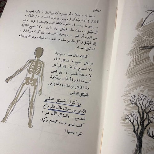 عجائب جسم الإنسان_أنتوني رافييللي