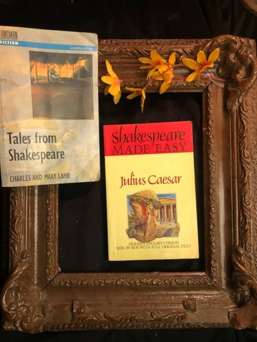 The Shakespeare Classics Collection
