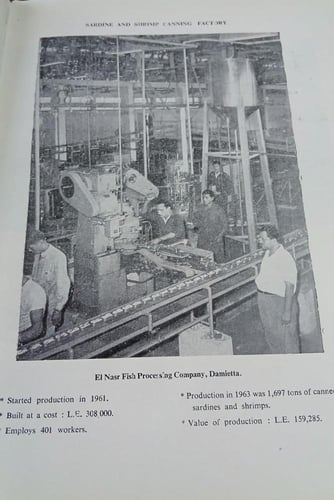 12 years of industrial development (L13)