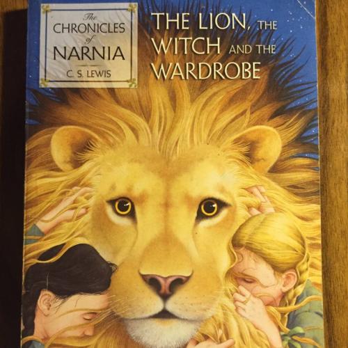 The lion, The witch, and the wardrobe Narina (P20)