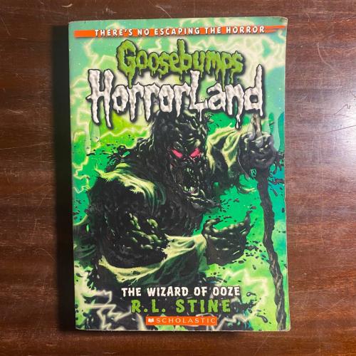 goosebumps horror land-R L stine-Q6