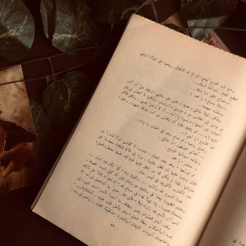 رياح كانون - فاضل السباعي