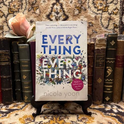 Everything - Nicola Yoon - Q6