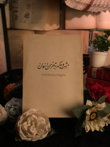 مشروع كهربة خزان اسوان _ ميشيل بلدي