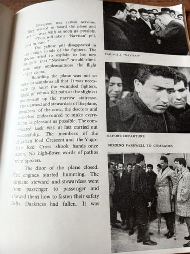 algerian wounded in yugoslavia(PM)