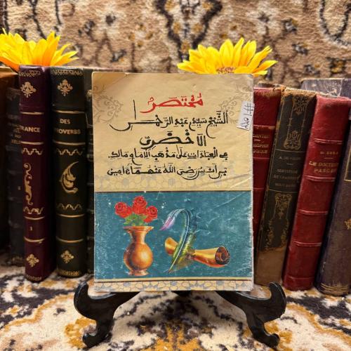 مختصر الشيخ عبدالرحمن الاخضري(O18)