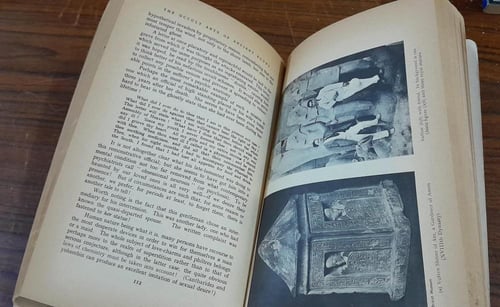 the occult arts of ancient egypt- By: Bernard Brom...