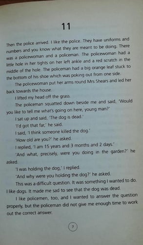 the curious incident (P10)