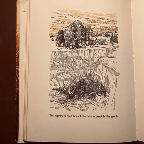 All about strange beasts in the past (P16)