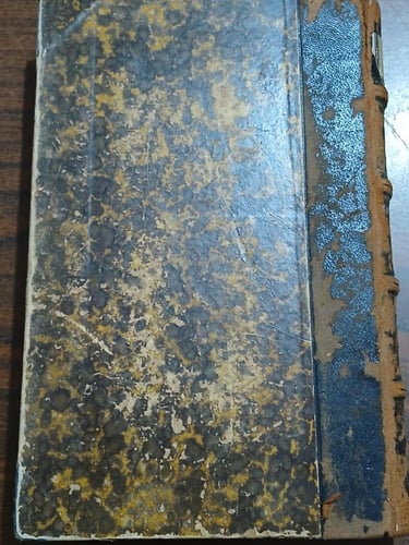 lettres dune jeune irlandaise a sa s oeur(E3)