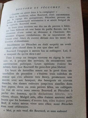 bouvard et pecuchet(E5)