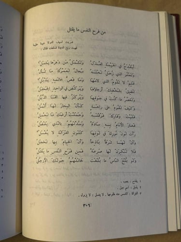 ديوان المتنبي ---Hw17