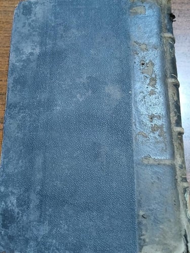 i caratteri umani (E4)