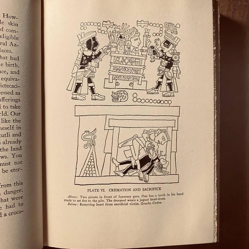 Mexico before Cortez - J. Eric Thomfson (Q7)