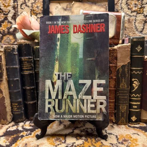 The maze runner - James Dashner - P20