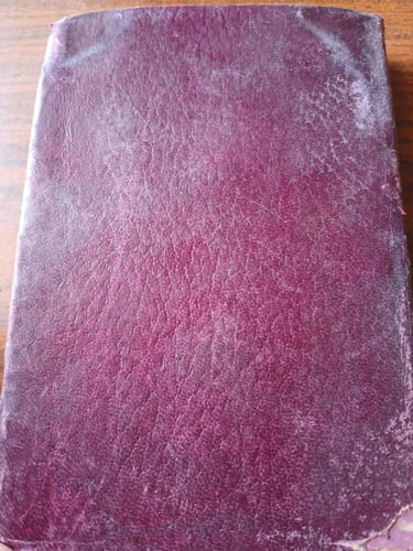 chicot the jester(P6)