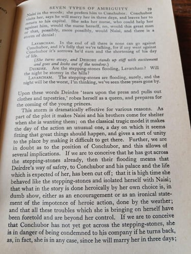 seven types of ambiguity(P8)