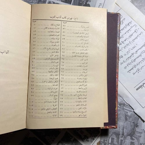 أدب العرب -ابراهيم بك العرب