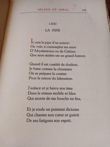 les fleurs du mal(E13)