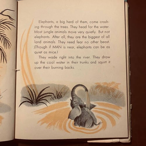 African animals (P15)