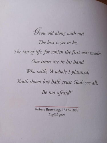 of love and comfort(P6)