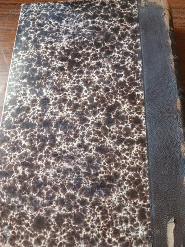 la conquete de plassans(E13)