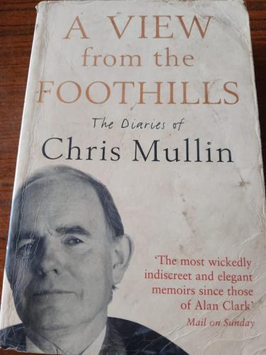 a view from the foothills (P8)