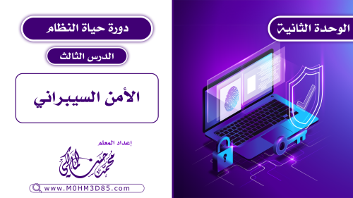الدرس الثالث : الأمن السيبراني