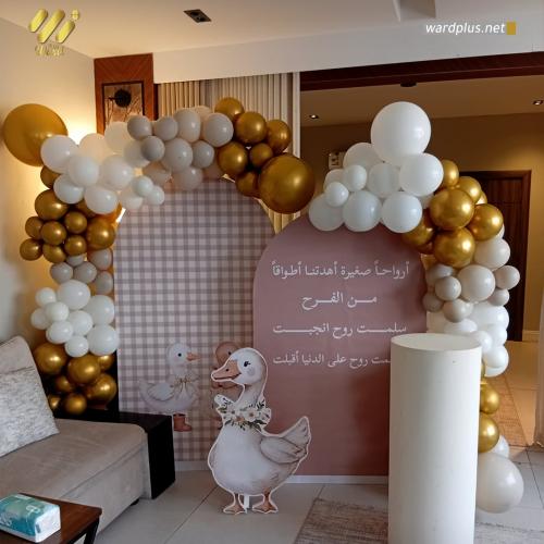 welcome baby girl