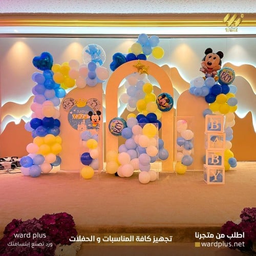 Mini Mouse theme baby boy