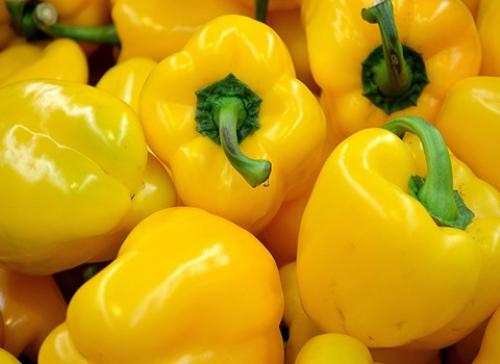 بذور الفلفل الحلو الأصفر