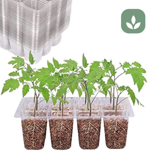 صينية تشتيل 12 عين بغطاء شفاف لزراعة البذور والعقل