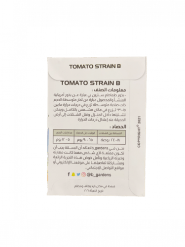 بذور الطماطم الحمراء عالية الجودة