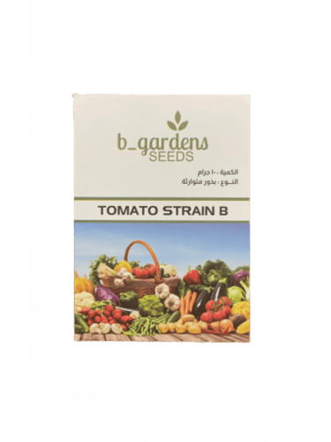 بذور الطماطم الحمراء عالية الجودة