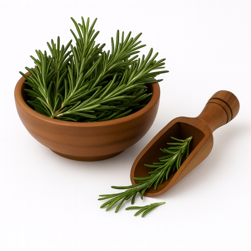 إكليل الجبل طازج عضوي روزماري | نكهة غنية/عبوة