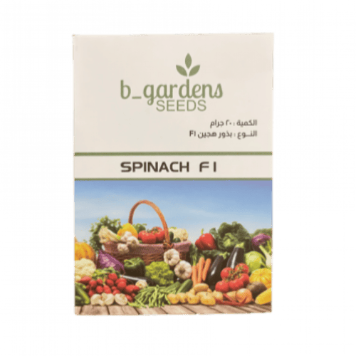 بذور السبانخ مليبار F1 - أوراق كثيفة ومغذية
