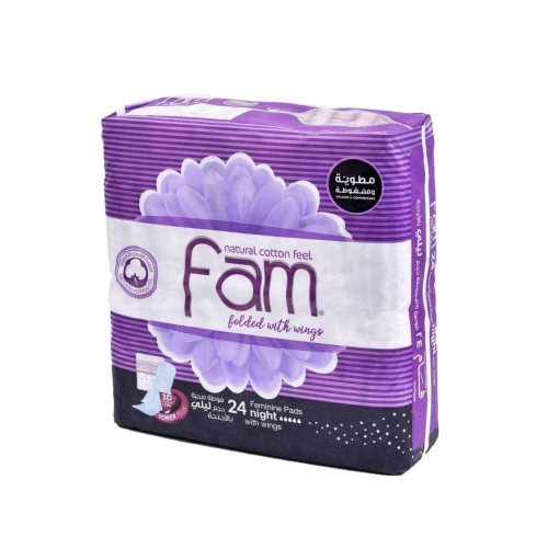 فام حفائض سيدات ليلي بالأجنحة عبوة أقتصادية 24 قطع...