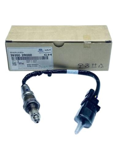 Sensor exhaust above Carnival-Serento-Santafe Dies...