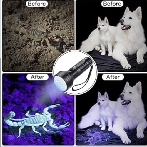 كشاف العقارب