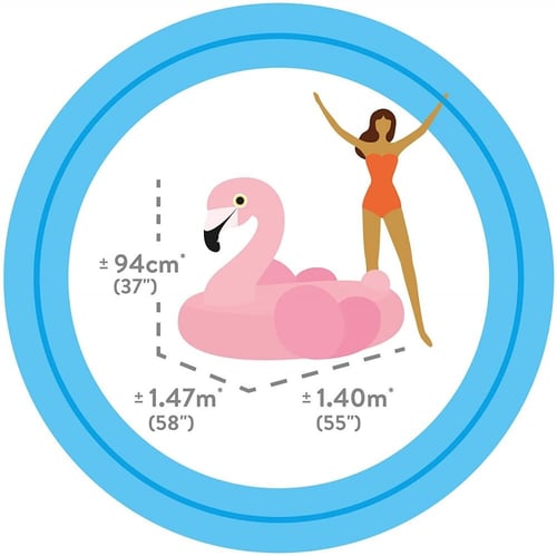 فلامينقو انتكس 57558