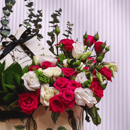 تنسيق انوش 4