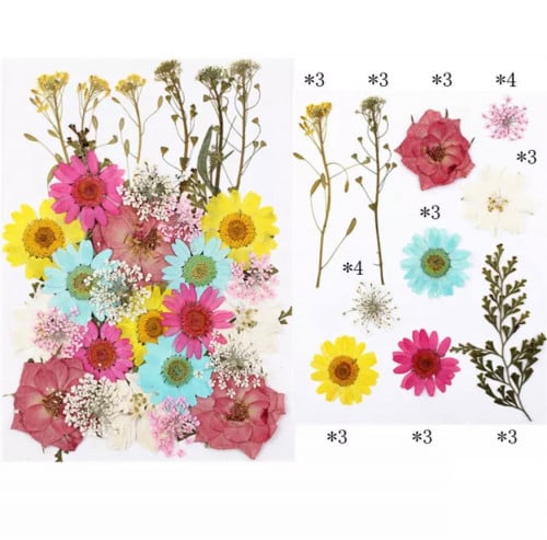 زهور مجففه 32 قطعة ملونة