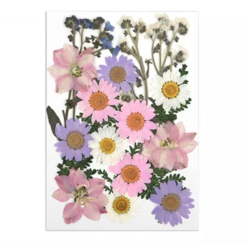 زهور مجففه بنفسجي ووردي