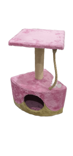 خداشة وبيت للقطط