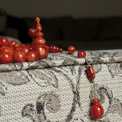 مرجاني شبيه الأمريكي خراطة "سبحة كنانة" محاكاة اسم...