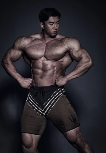 General Khaki ( 15inch )