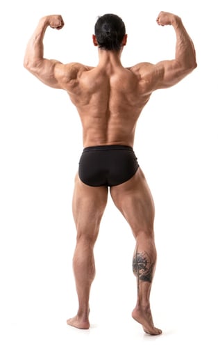 Classic Physique low شورت الكلاسيك فيزيك المتوسط