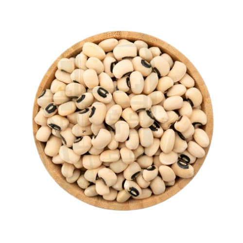 لوبيا
