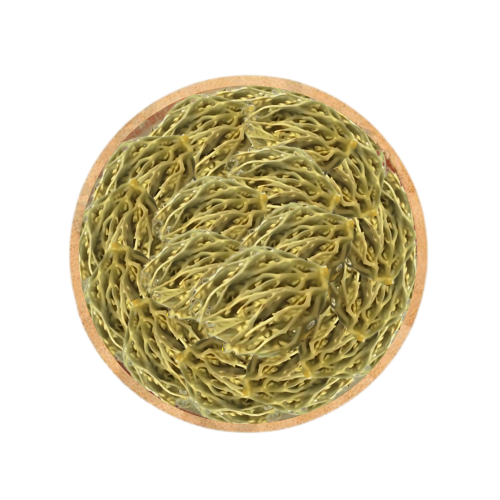 كف مريم