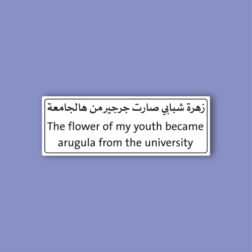 استكر جوال (زهرة شبابي صارت جرجير من هالجامعة)